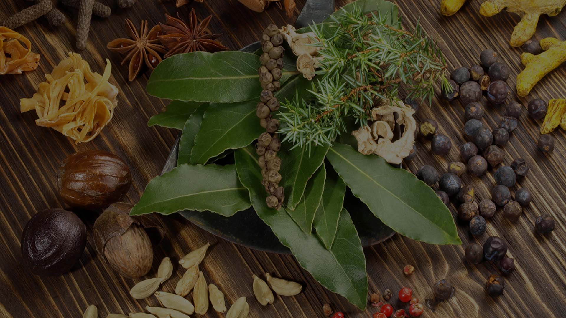 Ayurveda Surgical Treatments in Gandhinagar
