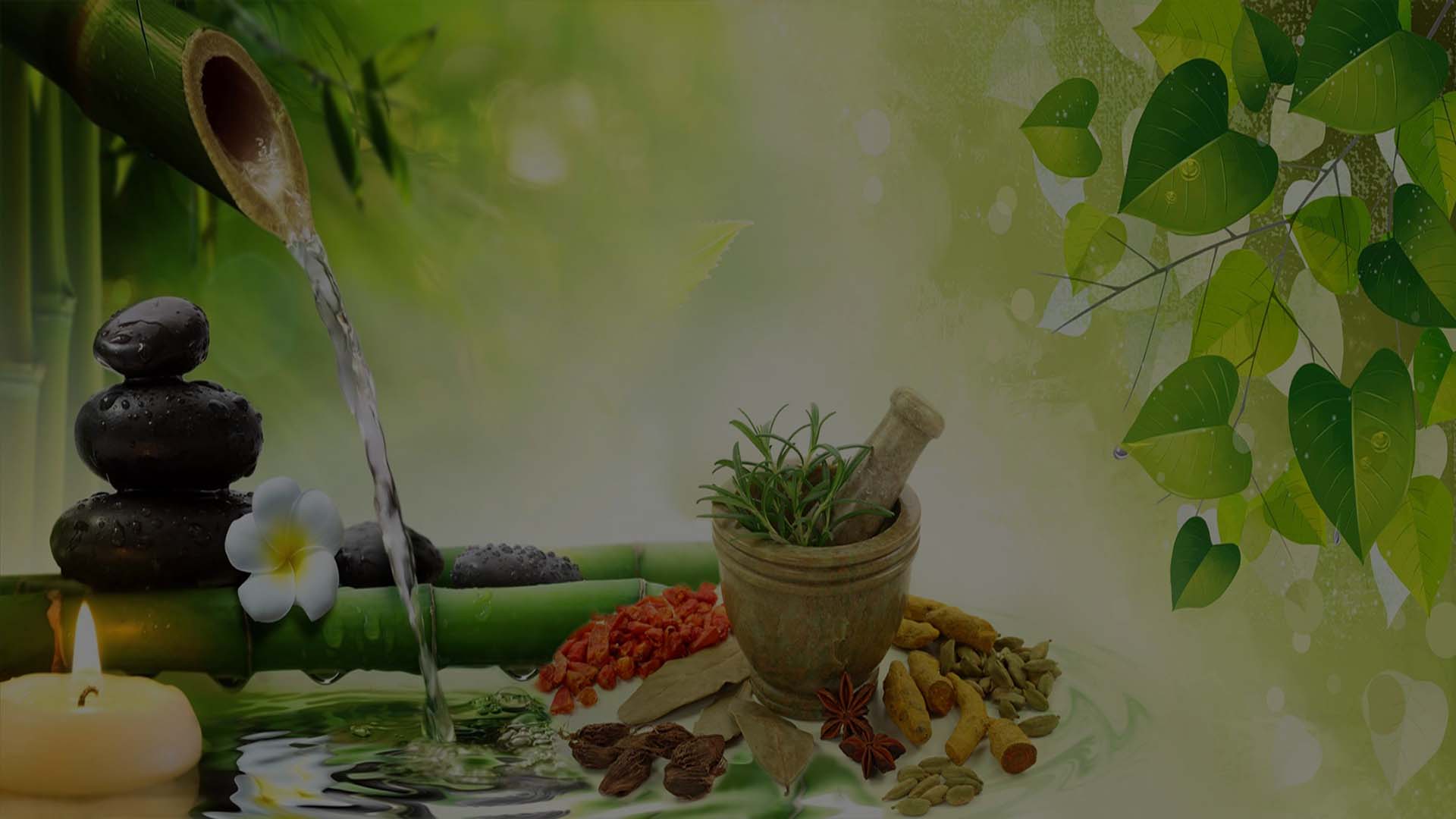 Ayurveda Surgical Treatments in gandhinagar
