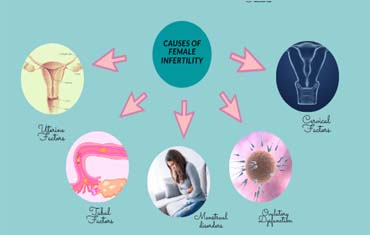 best pediatrician in gandhinagar
