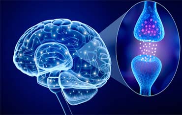 oncology doctor in gandhinagar
