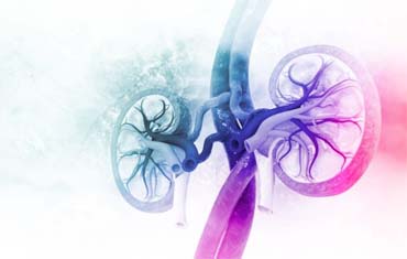 Lifestyle Disorders Services in Gandhinagar
